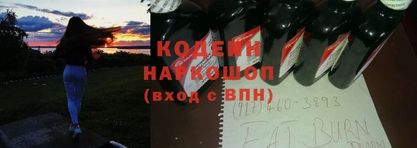 крисы Богородицк