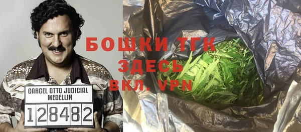 крисы Богородицк