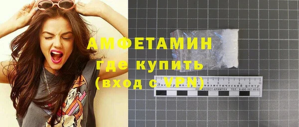 крисы Богородицк