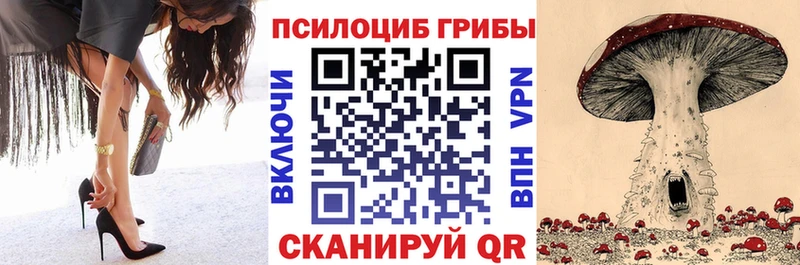 Галлюциногенные грибы Cubensis  Гудермес 